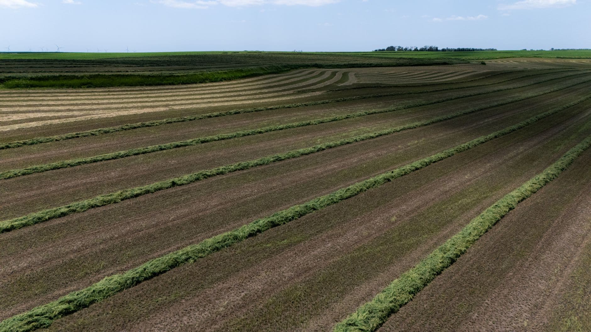 Stop Replanting the Entire World Every Twelve Months
