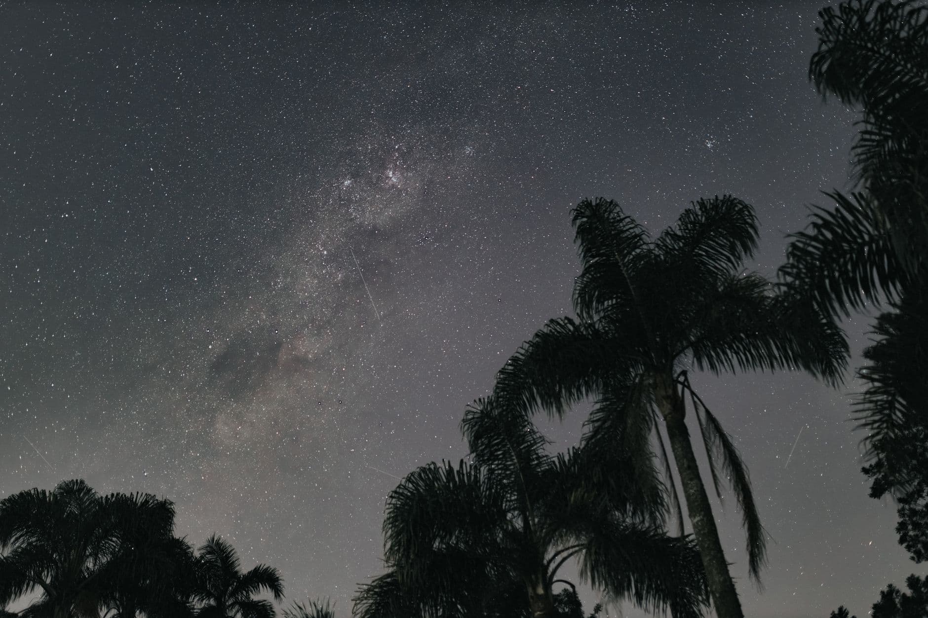 My Telescope Now Shows Mostly Elon Musk's Router
