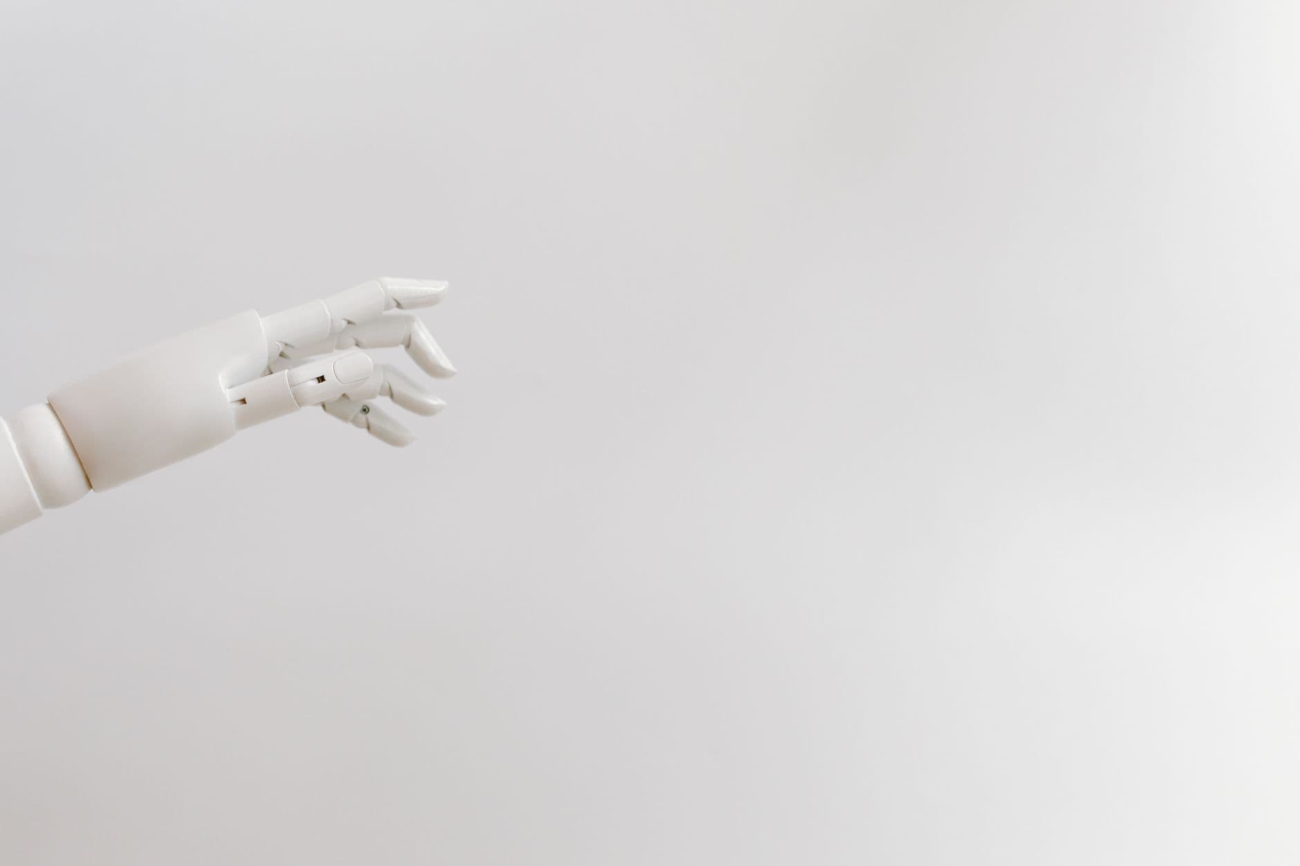 The Silent Partition of Biological Sovereignty