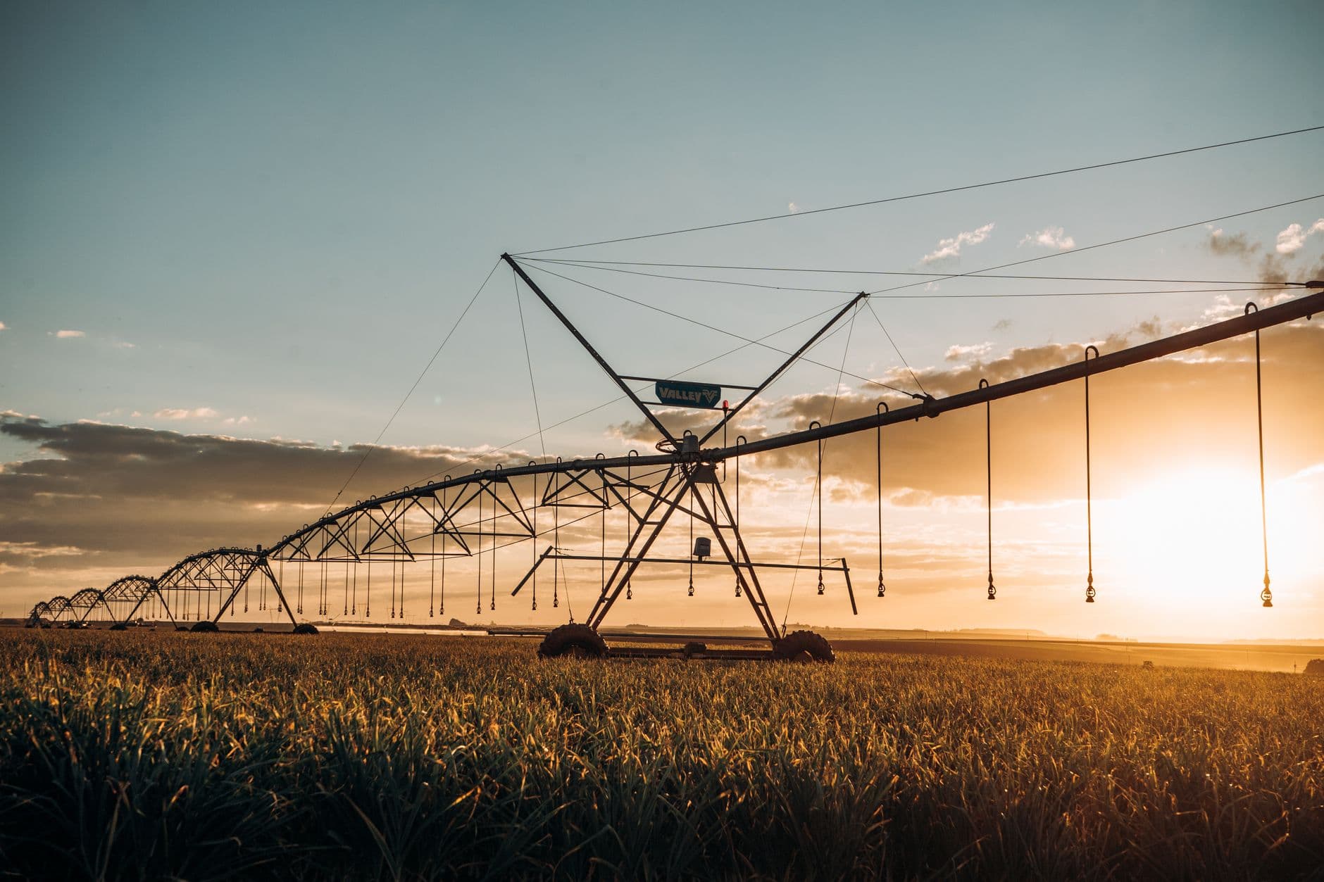 The Silent Revolution of the Sixteen Dollar Sensor