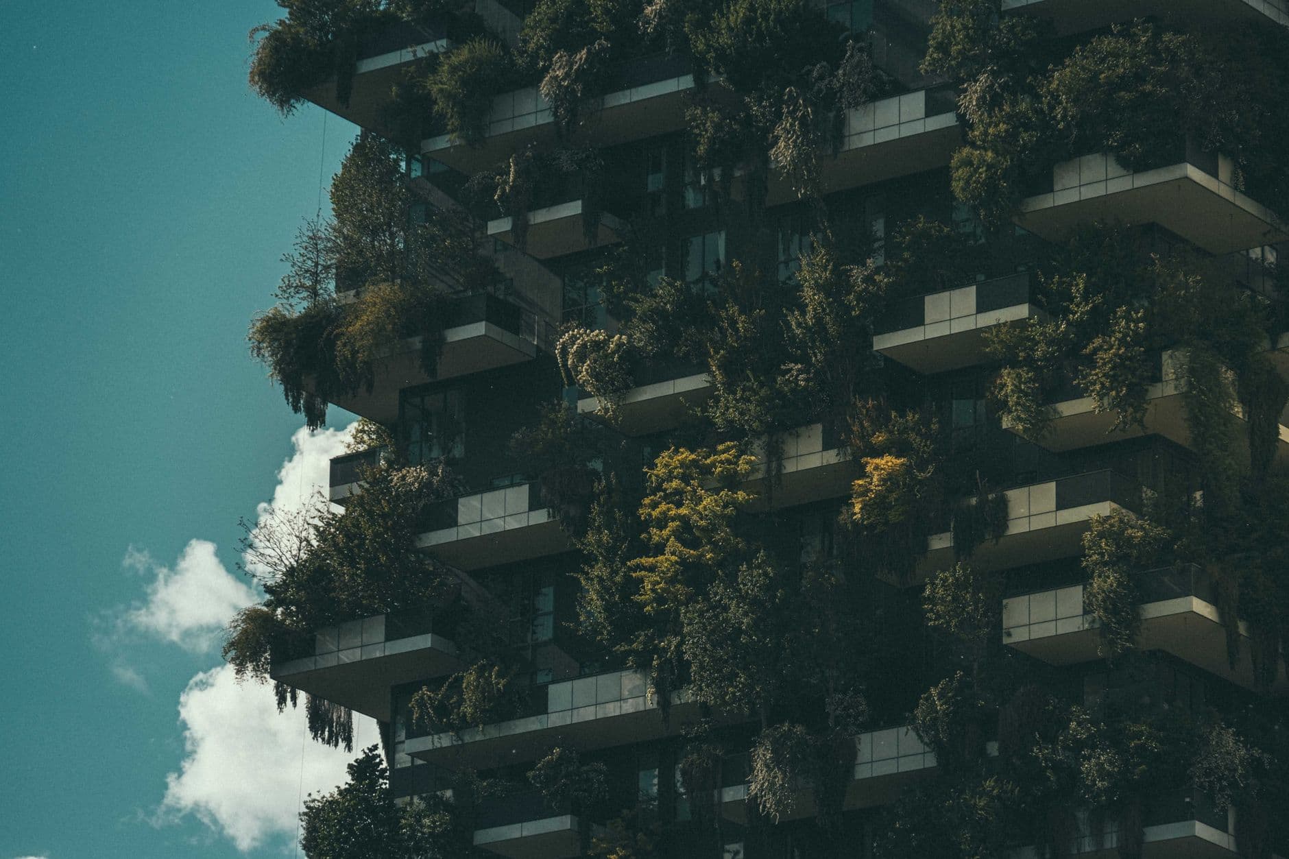 The Proprietary Logic Killing the Sustainable Skyscraper