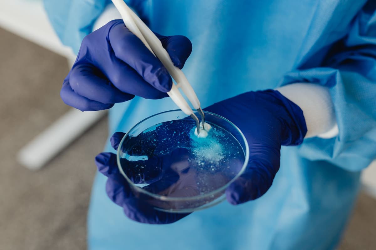 tiny plastic beads swirling in a glass petri dish