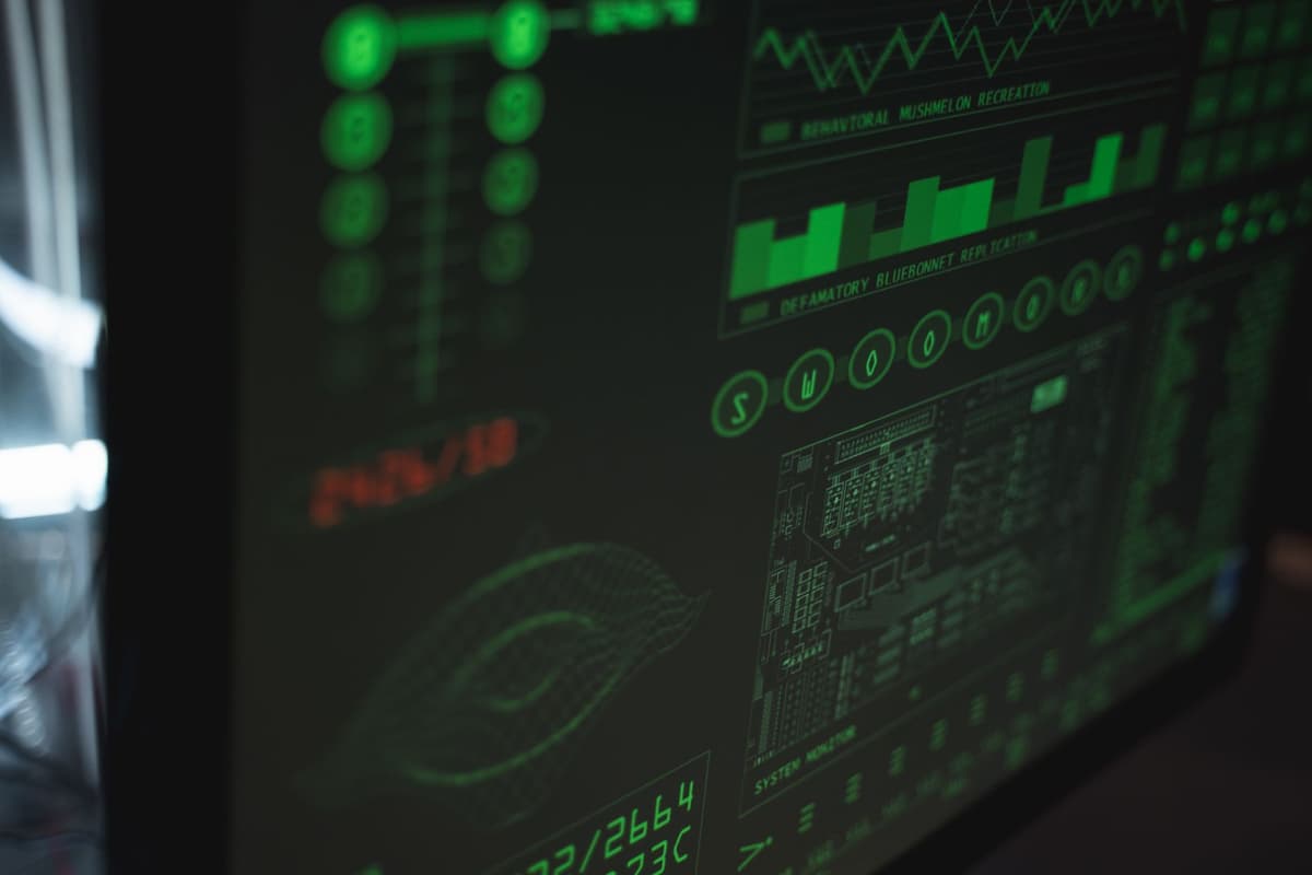 sonar readout on monitor showing shipwreck outline