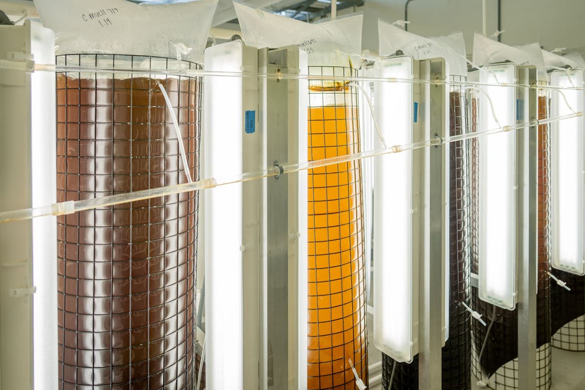 a clean industrial laboratory with specialized glass tubes and membranes