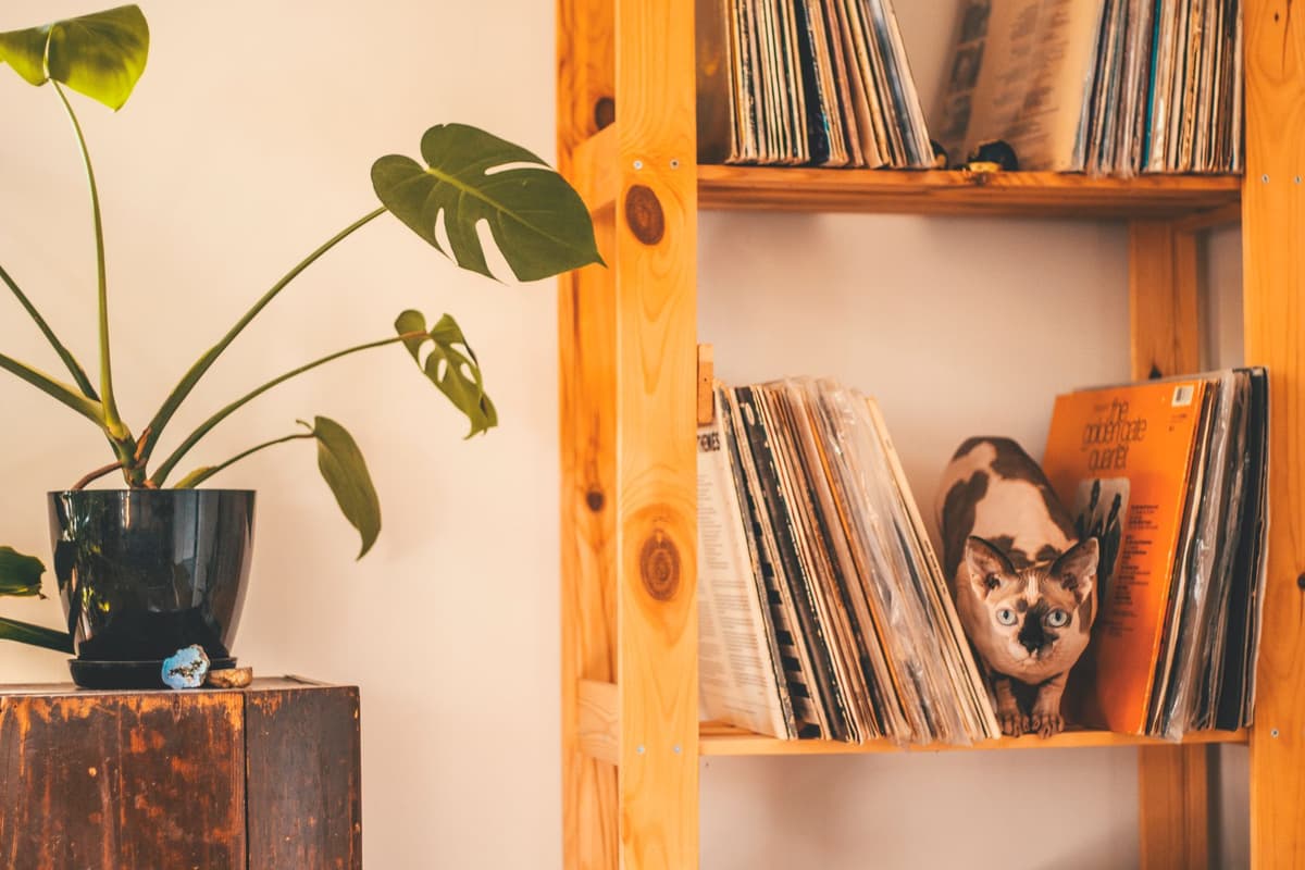 a brushed aluminum music server on a dark wood shelf