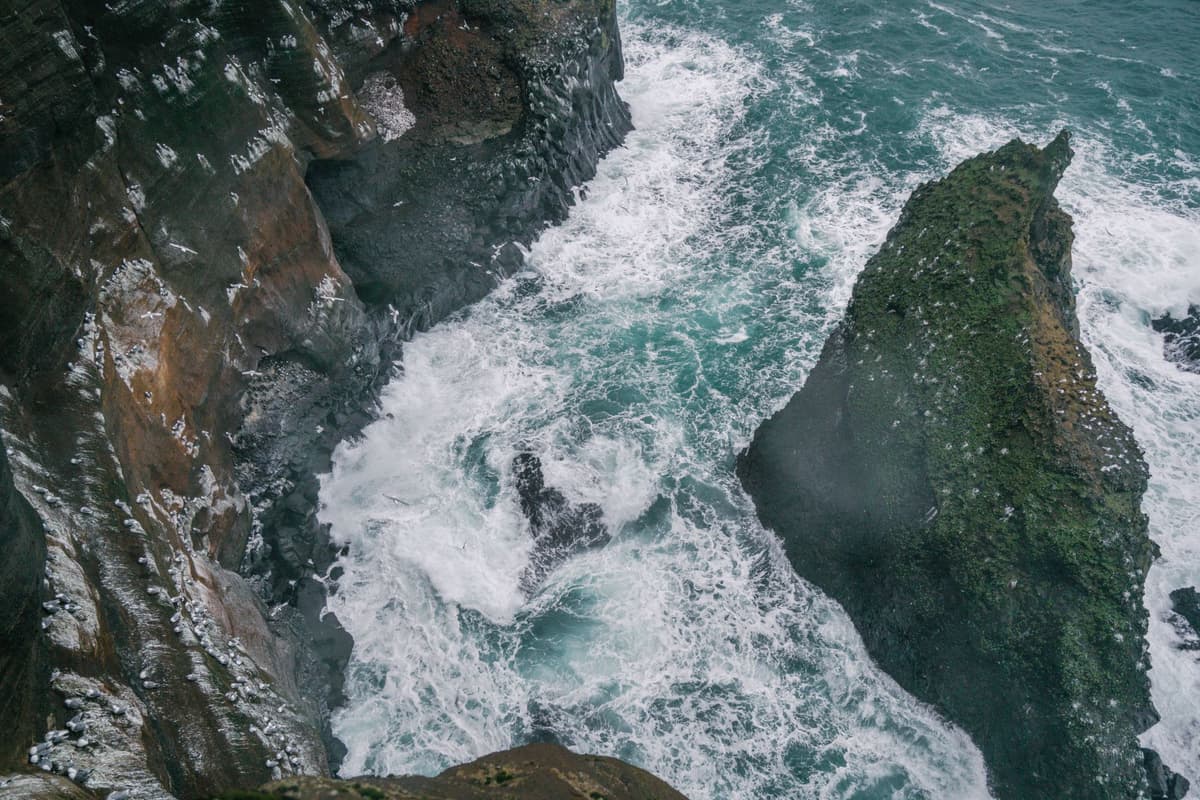 a single grumpy penguin standing on a rugged cliff looking out at a stormy sea