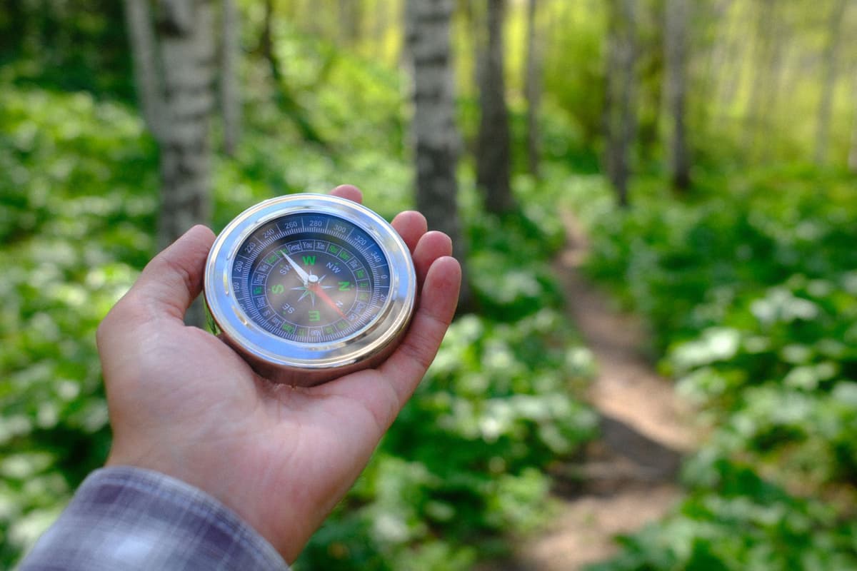a hand holding an old brass compass over a waterproof map with green forest background